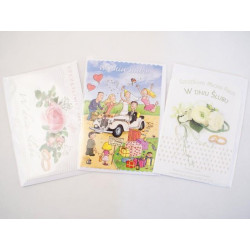 Laurka z brokatem  B6B,,