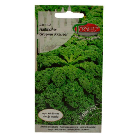 Nasiona Jarmuż Halbhoher Gruner 2g