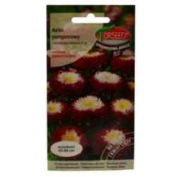 Nasiona Aster Pomponowy 0,5g