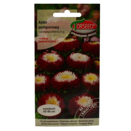 Nasiona Aster Pomponowy 0,5g