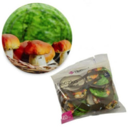 Zakrętki 10szt fi 66 4z Grzyby G-02