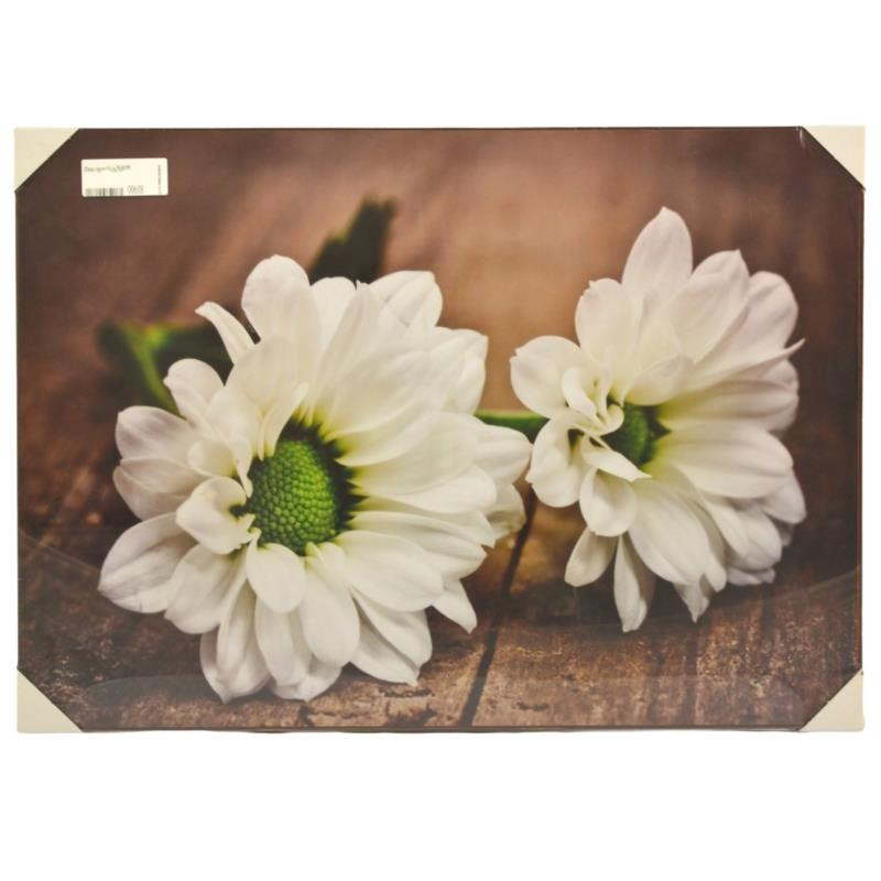 Obraz reprodukcja 70/50 BB Mix