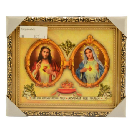 Obraz reprodukcja 20/25 ZŁOTY mix