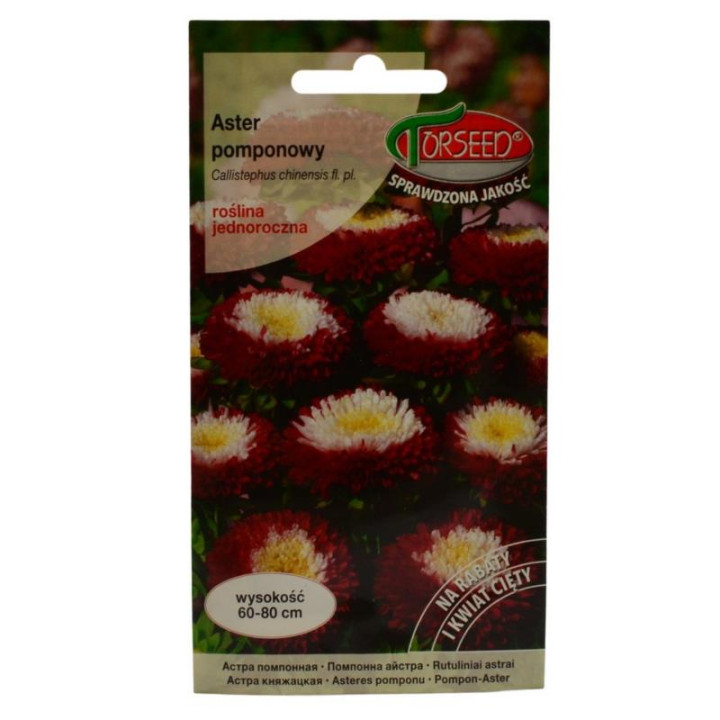 Nasiona Aster Pomponowy 0,5g
