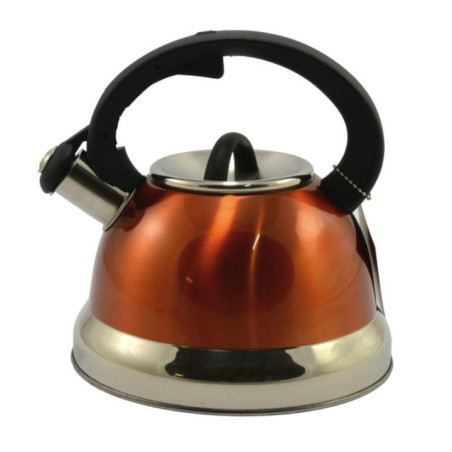 Czajnik 2,2L nierdzewny Ambition Rene 37151 mix