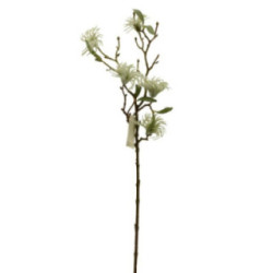 Gałązka ozdobna Bawełna 63cm 2