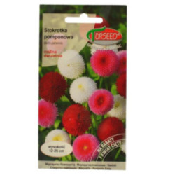 Nasiona Stokrotka pomponowa 0,1g 2