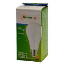 Żarówka LED E27 15W 1600lm Spectrum zimna biała 2
