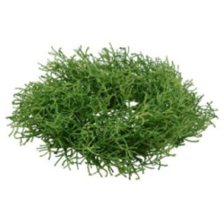 Wianek 30cm 17.8098 2