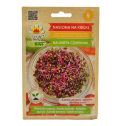 Nasiona Kalarepa czerwona 10g kiełki 2