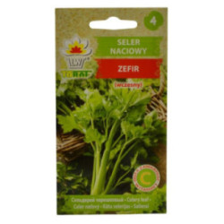 Nasiona Seler naciowy Zefir 0,5g 2
