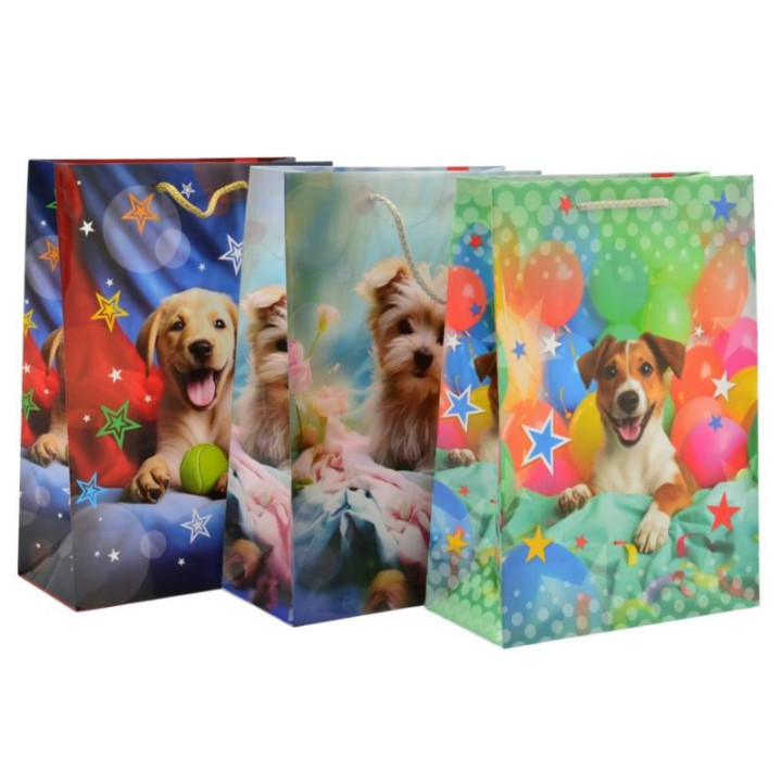 Torebka ozdobna 31,5x22,5x11cm T-2L mix