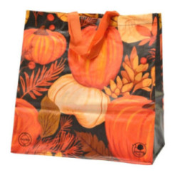 Torba na zakupy PP Dynie 38x40x22cm 2