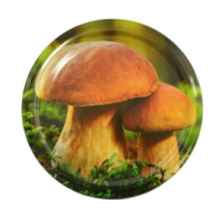 Zakrętka fi 82 6z grzyby 2