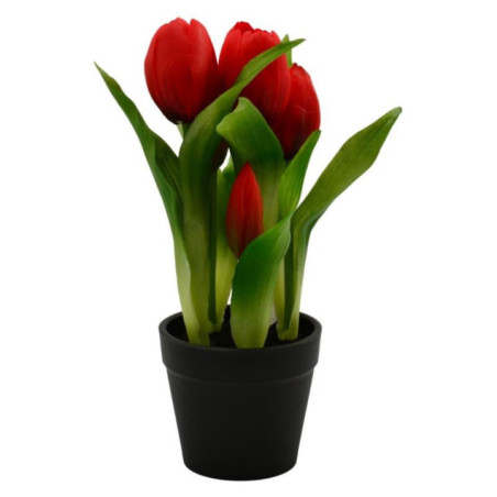 Kwiat Tulipan w doniczce 22cm VIP1735 mix