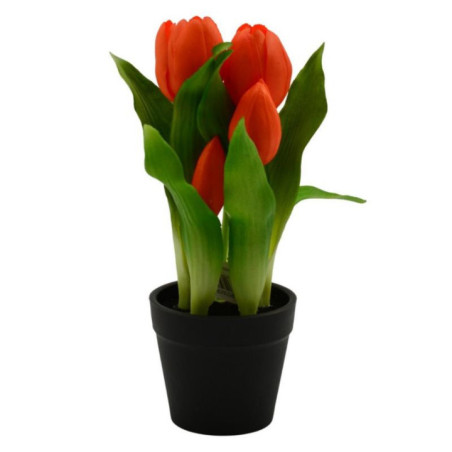 Kwiat Tulipan w doniczce 22cm VIP1735 mix