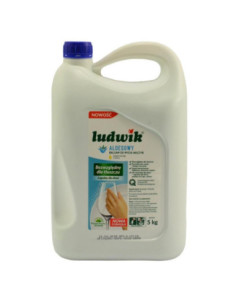 Płyn do naczyń LUDWIK 5L Aloes