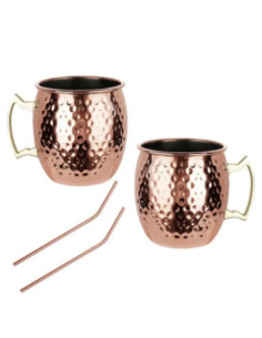 Kubki nierdzewne 2 sztuki 500ml ze słomkami KH-2000 2