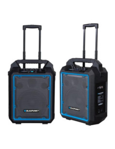 Głośnik Blaupunkt MB10 600W 2