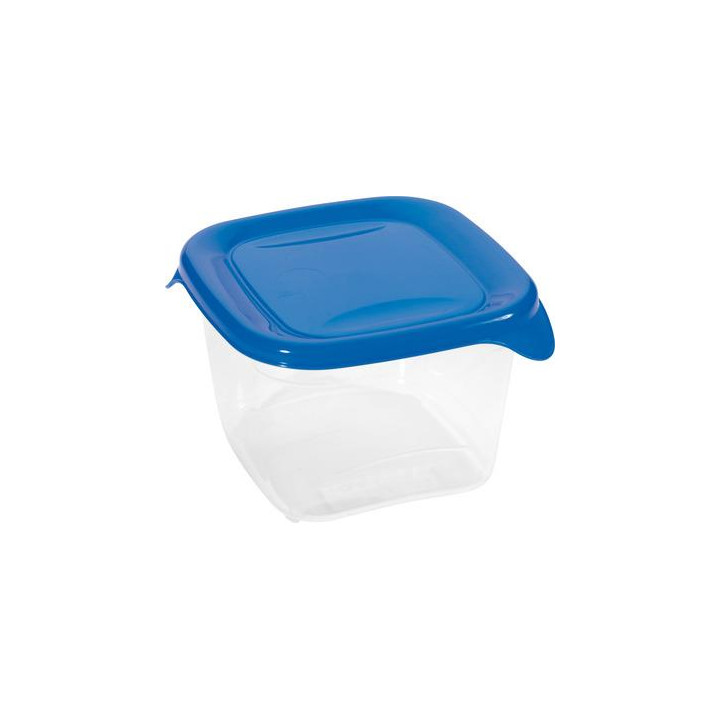 Pojemnik Fresh&Go 0,45L niebieski Curver