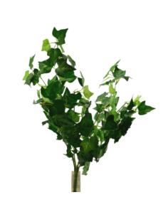 Gałązka ozdobna Bluszcz 50cm 09.1281