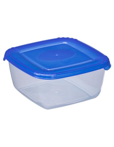 Pojemnik Polar 0,46L plastikowy 1674 mix