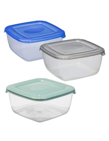 Pojemnik Polar 0,46L plastikowy 1674 mix