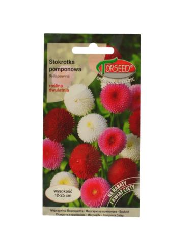 Nasiona Stokrotka pomponowa 0,1g