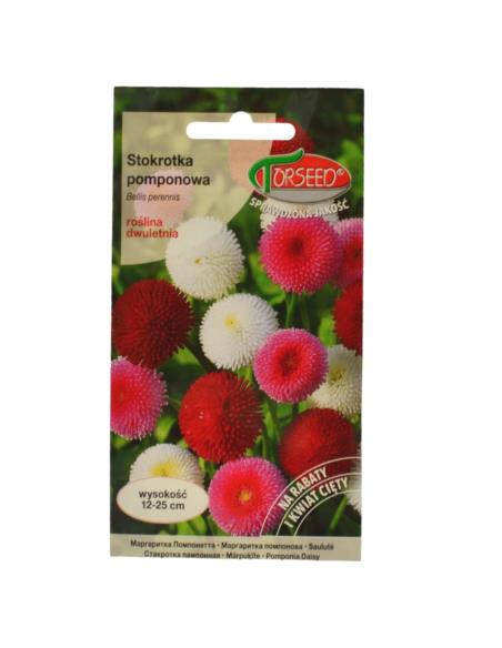 Nasiona Stokrotka pomponowa 0,1g