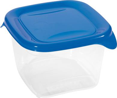 Pojemnik Fresh&Go 0,45L niebieski Curver