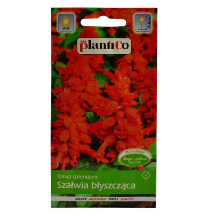 Nasiona Szałwia błyszcząca czerwona 0,5g