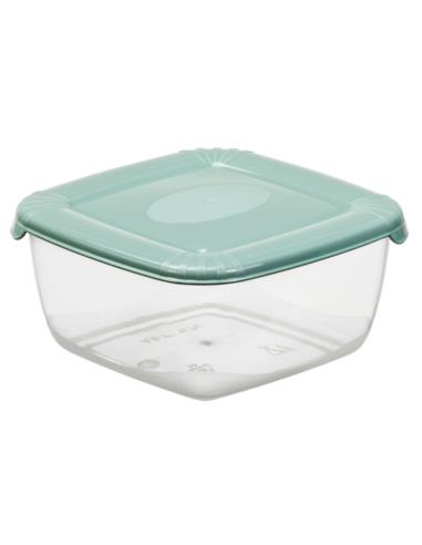 Pojemnik Polar 0,95L plastikowy 1675 mix