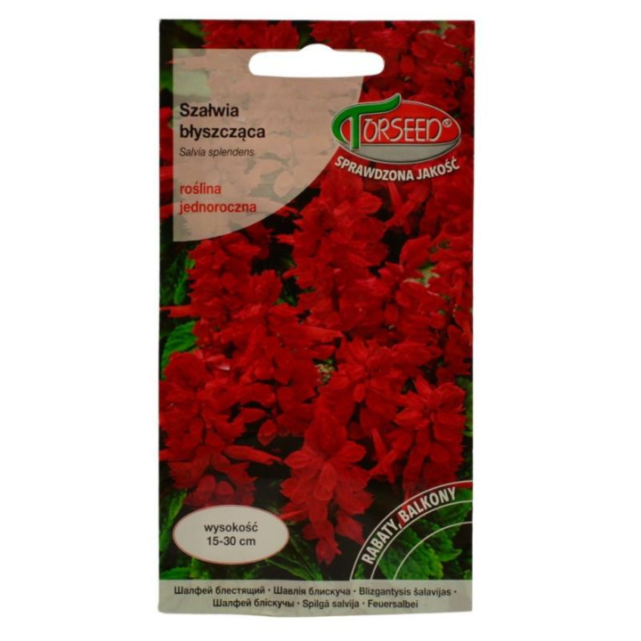 Nasiona Szałwia błyszcząca intensywnie czerwona 0,5g
