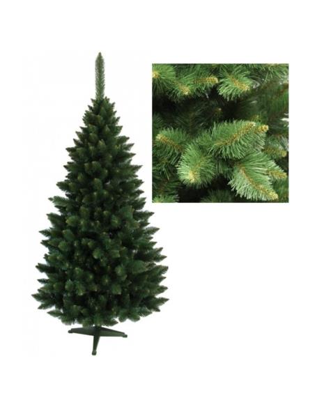 Choinka-Sosna Himalajska 220cm