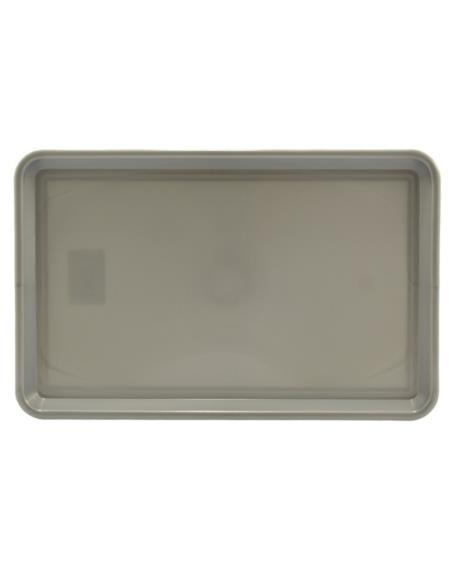 Taca plastikowa 30x19cm prostokątna srebrna