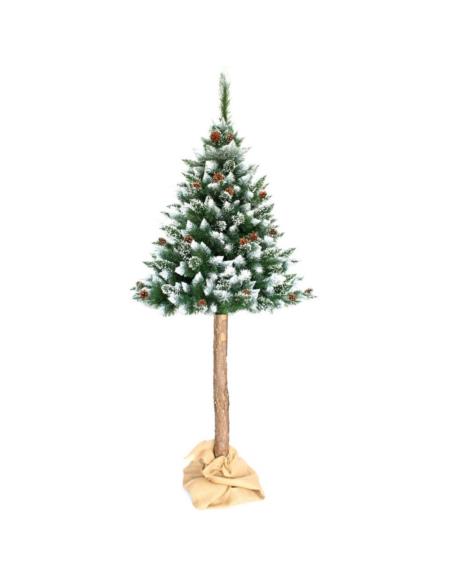 Choinka-Sosna na pniu szroniona 220cm z szyszką