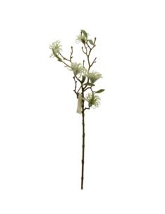 Gałązka ozdobna Bawełna 63cm