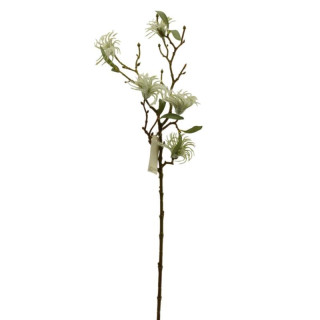 Gałązka ozdobna Bawełna 63cm