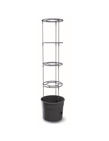 Doniczka Tomato Grover 29,5cm antracyt h:115cm IPOM300