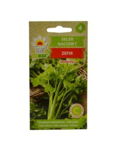 Nasiona Seler naciowy Zefir 0,5g