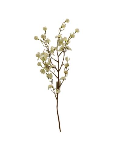 Gałązka ozdobna Senna 75cm mix