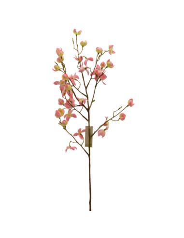 Gałązka ozdobna Senna 75cm mix
