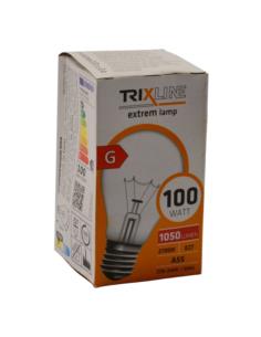 Żarówka specjalna 100W E27 1050lm