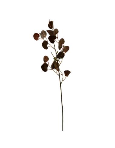 Gałązka ozdobna Eukalyptus 72cm 05.3166