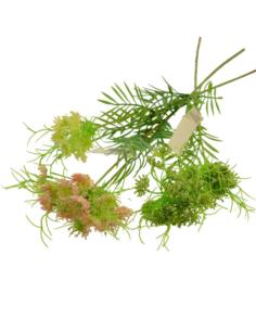 Gałązka Koper 65cm 05.2044 mix