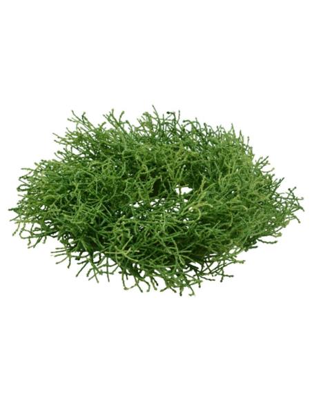 Wianek 30cm 17.8098