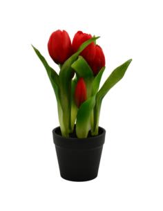 Kwiat Tulipan w doniczce 22cm VIP1735 mix