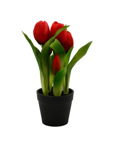 Kwiat Tulipan w doniczce 22cm VIP1735 mix