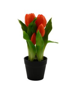 Kwiat Tulipan w doniczce 22cm VIP1735 mix 2