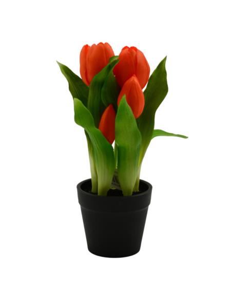Kwiat Tulipan w doniczce 22cm VIP1735 mix